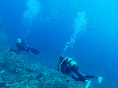 スキューバダイビング/Scuba Diving